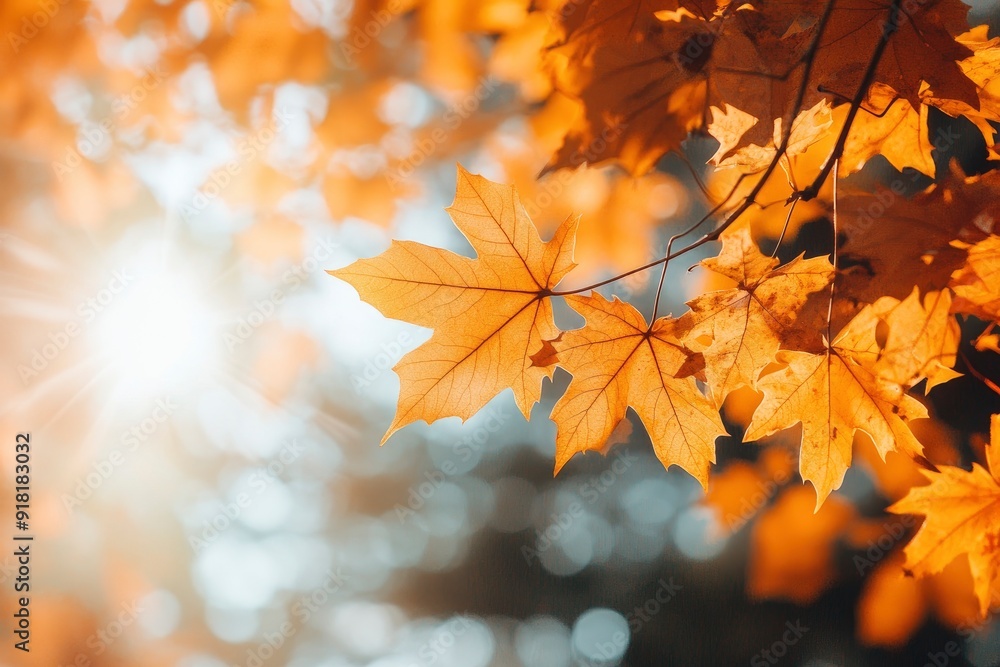 Orange fall leaves in park, autumn natural background with generative ai Orange fall leaves in park, autumn natural background with generative ai