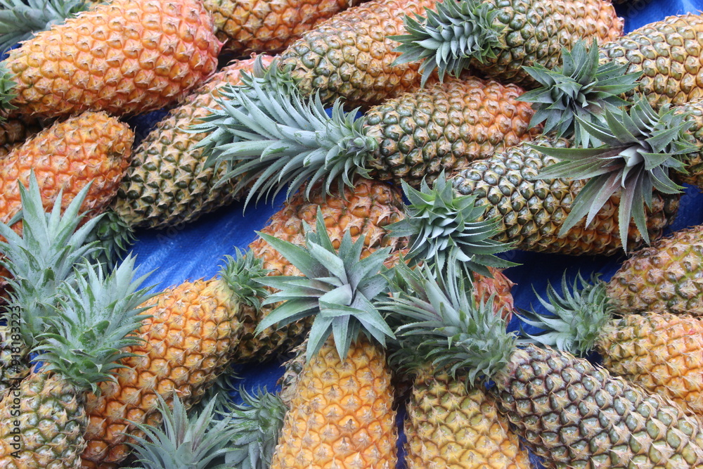 Pineapples Pineapples