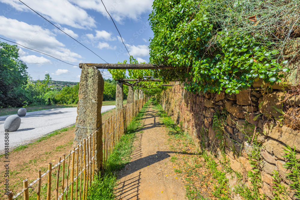 Φωτογραφία Famous estate House of Mateus wineyard in Vila Real, Portugal