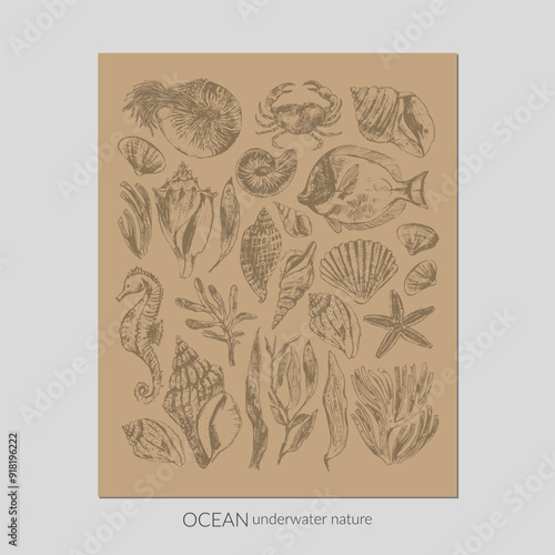 Vector sea life poster. Hand drawn sketch seashells, seaweed, starfish, coral fish, crab, nautilus, seahorse.