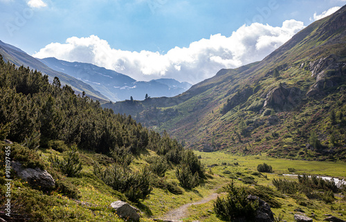 in the alps, Val S-charl, Scuol, lower Engadine, Swiss