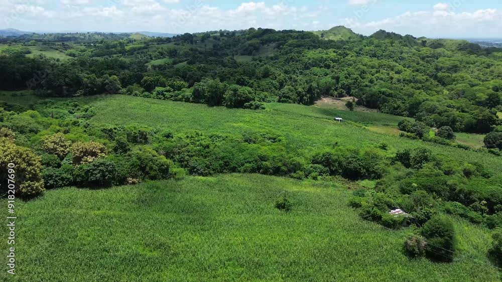 Amidst the forested mountains of the Cordilleras, there are cornfields on the rugged terrain Drone aerial Amidst the forested mountains of the Cordilleras, there are cornfields on the rugged terrain Drone aerial