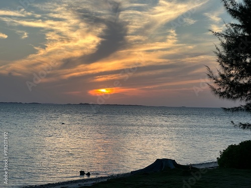 SUNSET Ocean View Abacos Bahamas with Tree photo