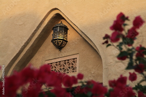 Photography antique window with flowers