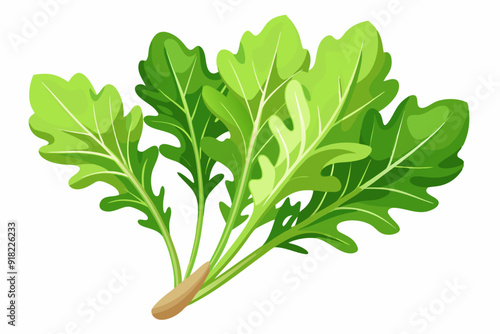 A bunch of fresh green arugula leaves