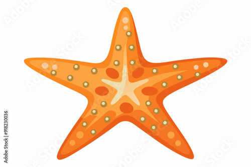 Orange Starfish with Yellow Spots on White Background