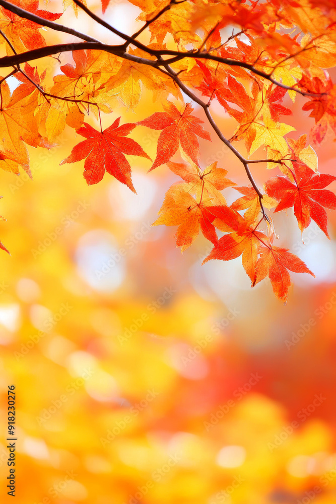 A view of an autumn-coloured and colourfully decorated table. AI generative. A view of an autumn-coloured and colourfully decorated table. AI generative.