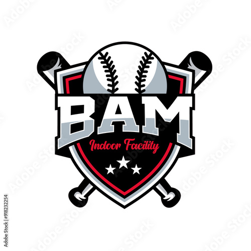 bam logo 