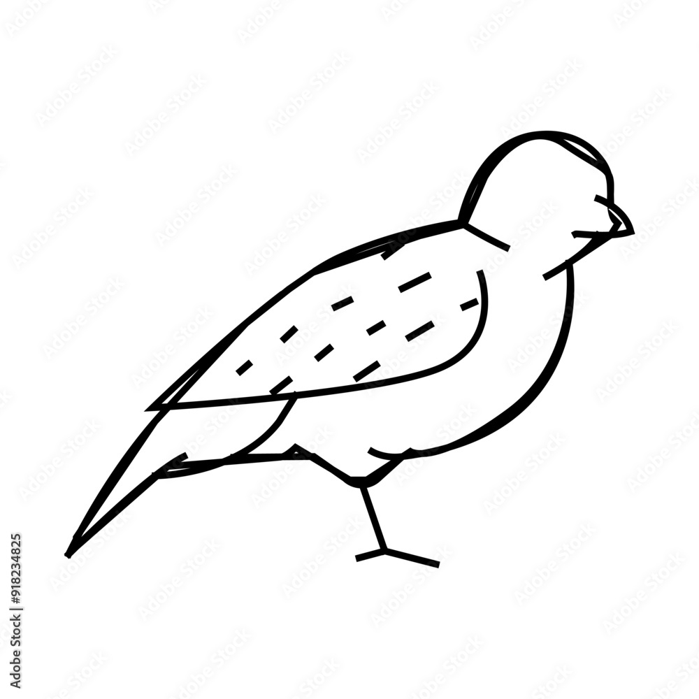 Fototapeta premium sparrow bird line icon vector. sparrow bird sign. isolated contour symbol black illustration
