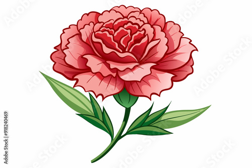Single pink carnation flower with green leaves on white background