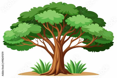 A large, leafy tree with a brown trunk and green grass at its base
