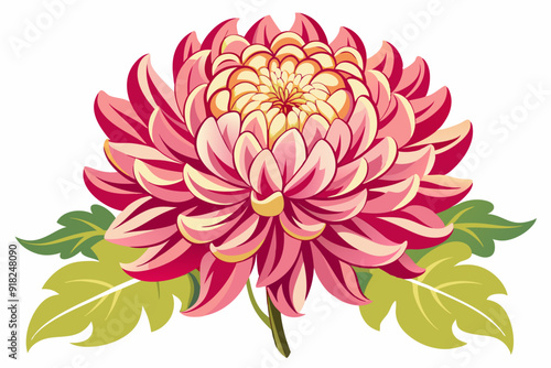 A Detailed Illustration of a Pink and Yellow Chrysanthemum Blossom