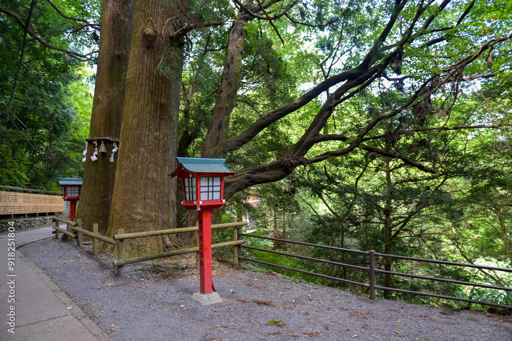 Φωτογραφία Way to the summit of Mount Takao adorned with hundreds of Red Lanterns along the