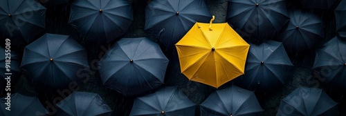 Stand Out From The Crowd With Your Unique Ideas - A yellow umbrella stands out from a group of black umbrellas symbolizing individuality, creativity, leadership,  innovation and success.