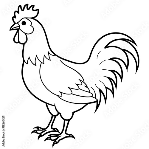 Rooster black art vector