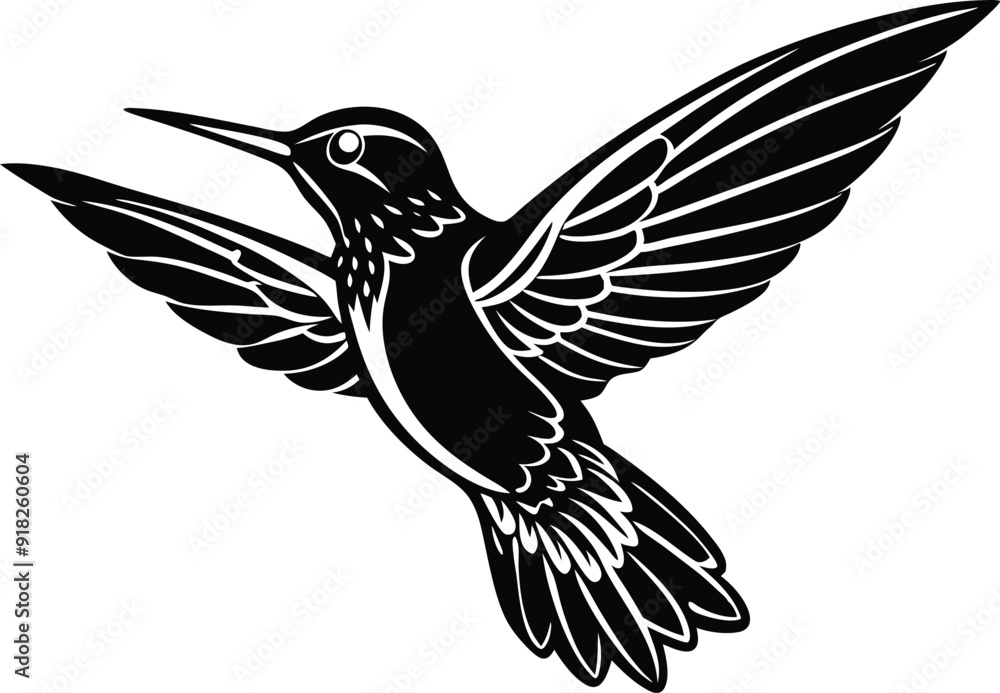 Obraz premium hummingbird on a white