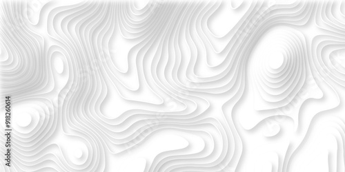 Abstract geometric layered curve line white background. 3d render, paper cut vector art background banner texture. multi layer cutout geometric patterns with smooth wavy layer. white background.
