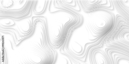 Abstract geometric layered curve line white background. 3d render, paper cut vector art background banner texture. multi layer cutout geometric patterns with smooth wavy layer. white background.