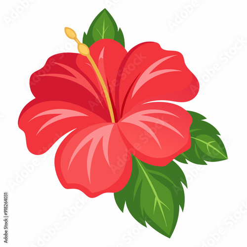 Tropical hibiscus flower  art vector