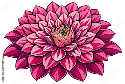A Single Pink Dahlia with Multiple Petals