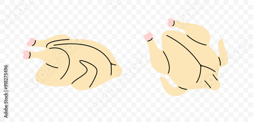 Whole raw chicken and poultry meat, graphic design. Chicken carcasses and chicken meat, vector design and illustration