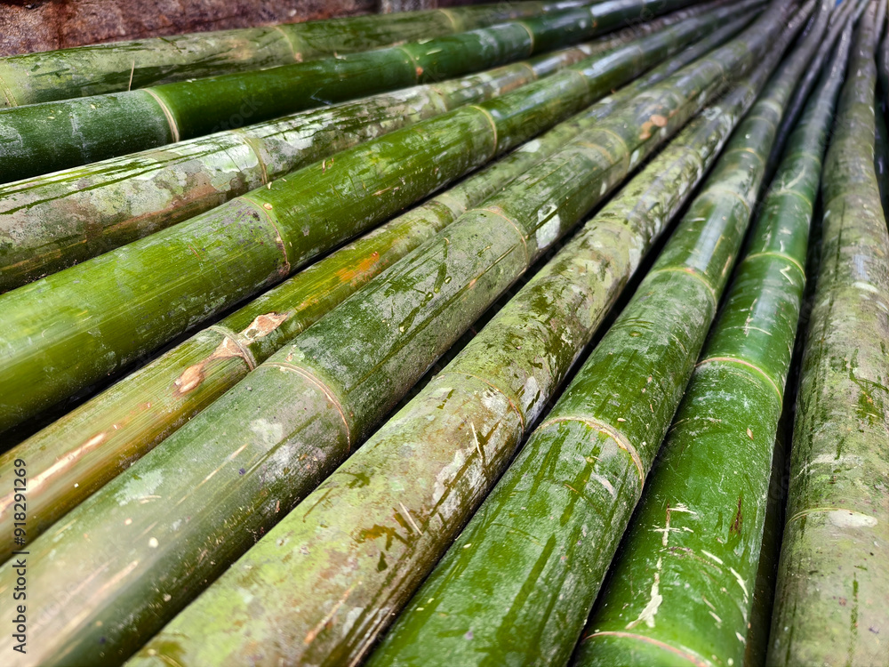 A collection of green bamboo rods piled one on top of another in a stack A collection of green bamboo rods piled one on top of another in a stack