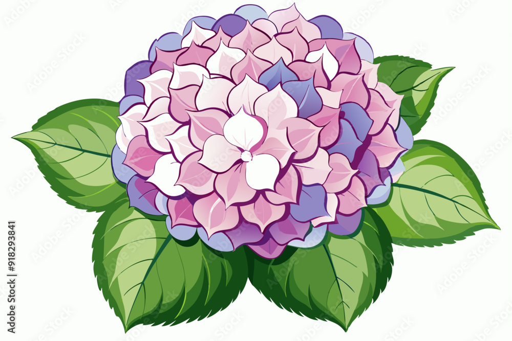 Pink and Purple Flower with Green Leaves Pink and Purple Flower with Green Leaves