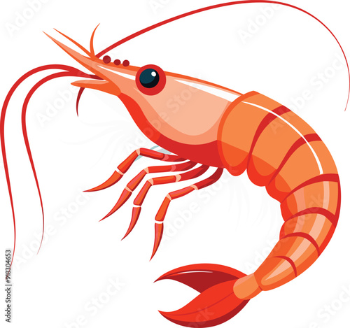 crayfish on a white background