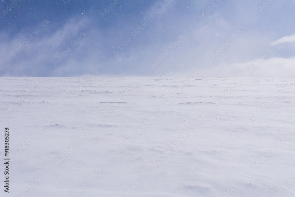 snow desert, lifeless snowy landscape with blizzard snow desert, lifeless snowy landscape with blizzard