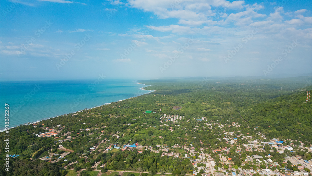 Obraz premium Palomino Magico