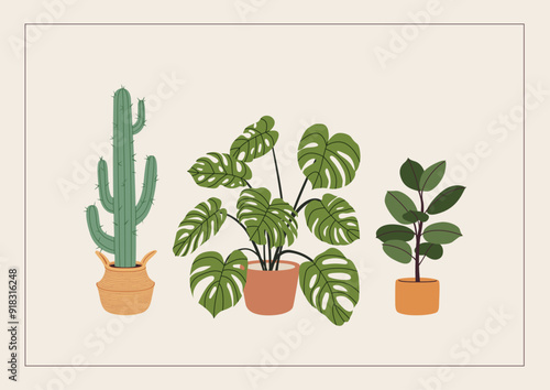 Potted plants on a new home greeting card, print, or poster. Housewarming party invitation with potted flowers. New place to live in postcard with house plants in flowerpots. Flat vector illustration.