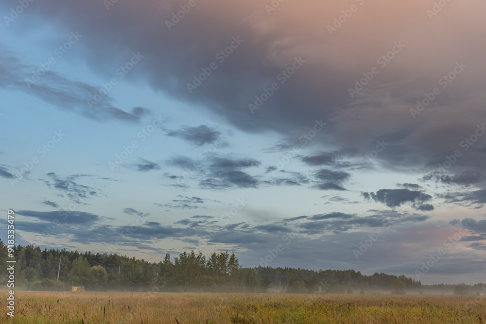 A cloudy sky with a few trees in the background A cloudy sky with a few trees in the background