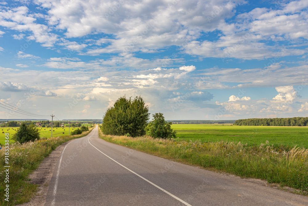 Fototapeta premium A road with a tree on the side and a clear blue sky