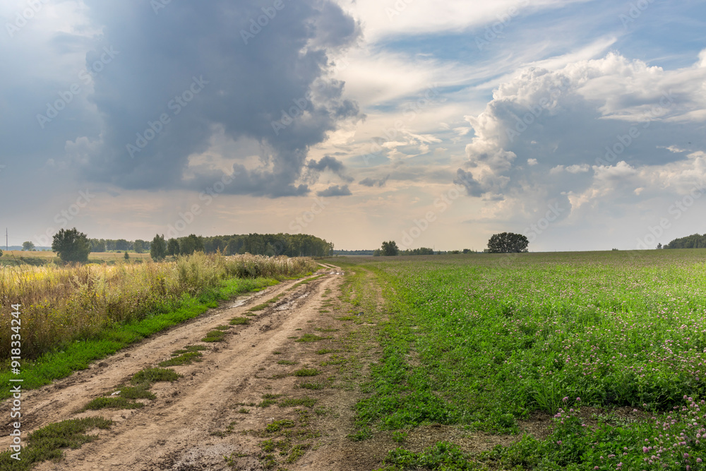 Fototapeta premium A road runs through a field with trees in the background