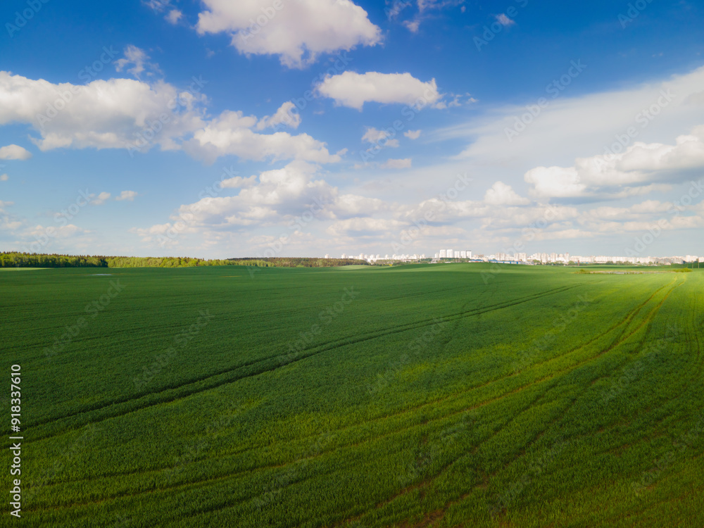 Landscape view from drone, green fields and forest, sky with white clouds. Landscape view from drone, green fields and forest, sky with white clouds.