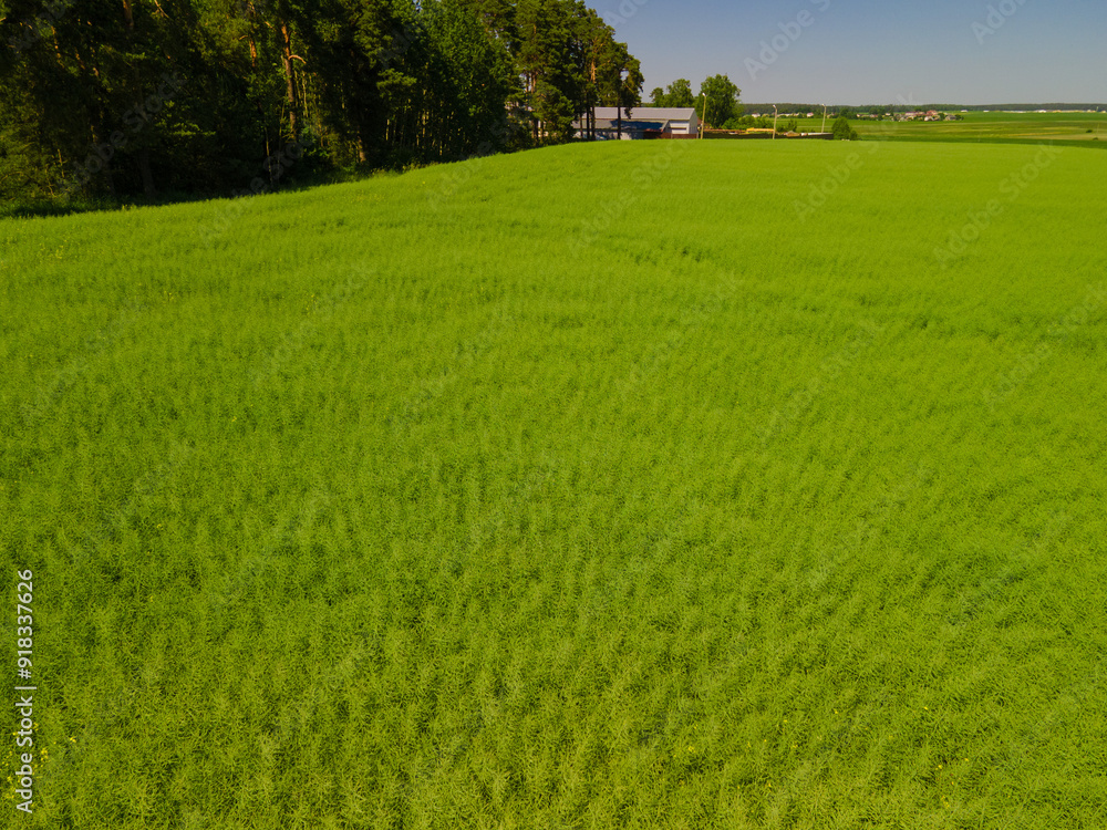 Landscape view from drone, green fields and forest, sky with white clouds. Landscape view from drone, green fields and forest, sky with white clouds.