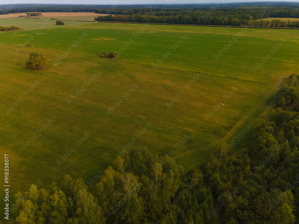 Obraz premium Landscape view from drone, yellow and green fields and haystacks, sky with white clouds. 