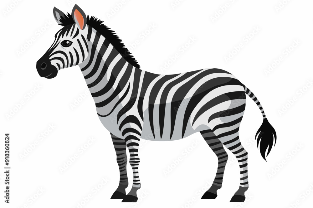 Obraz premium A Standing Zebra With Black And White Stripes