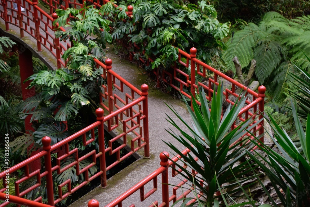 Caminho na ponte de um jardim japonês