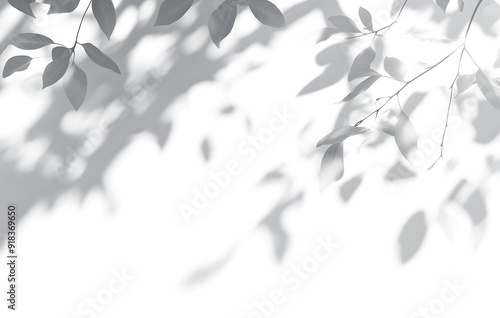 shadow overlay effect isolated on transparent. Transparent shadows and light from leaves and branches. Mockup of leaf shadow and lightning.
