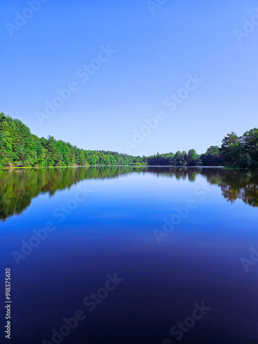 lake and forest