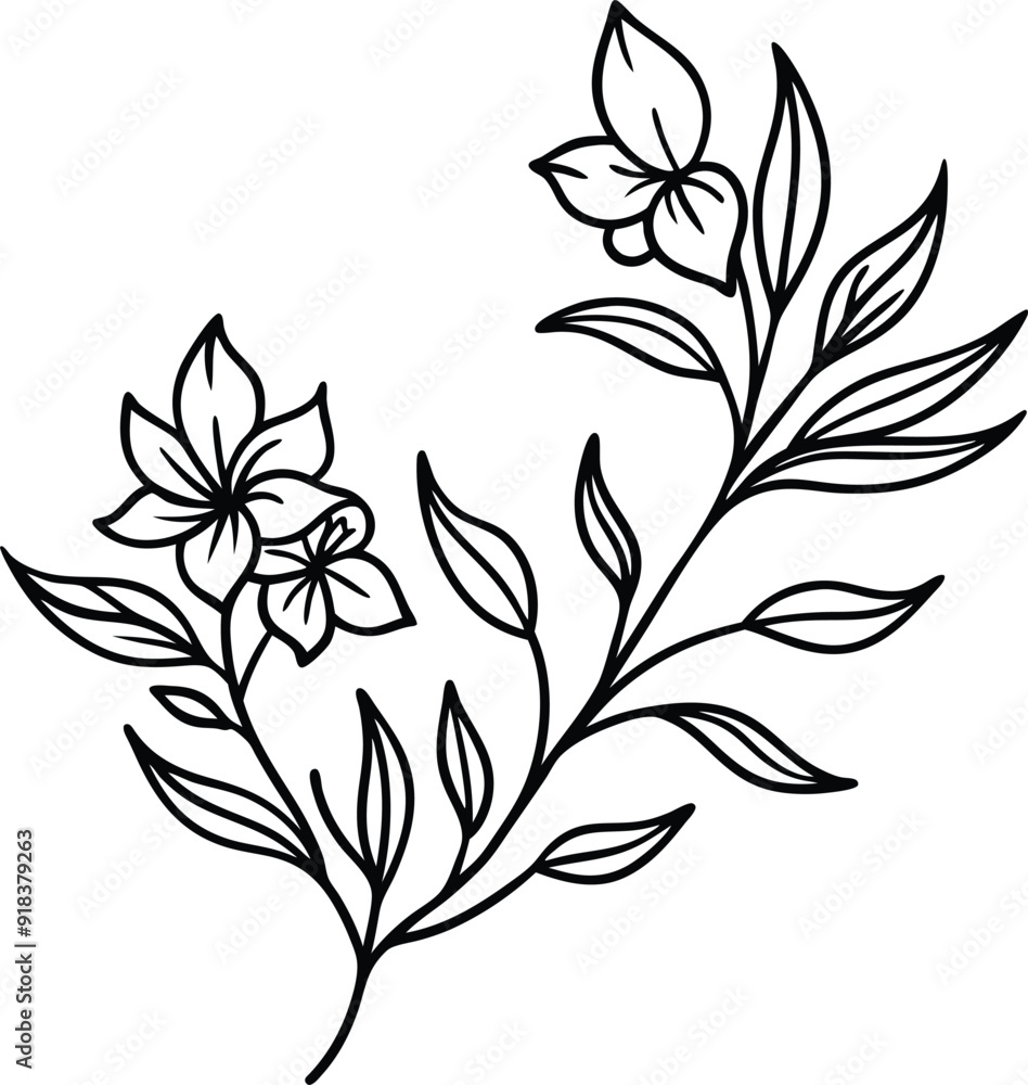 Hand drawn botanical floral branch illustration Hand drawn botanical floral branch illustration