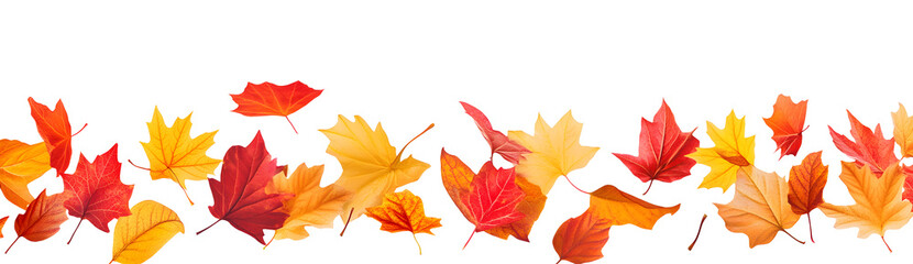 Autumn seamless transparent background with long horizontal border made of falling autumn golden, red and orange colored leaves isolated on transparent background. Hello autumn png