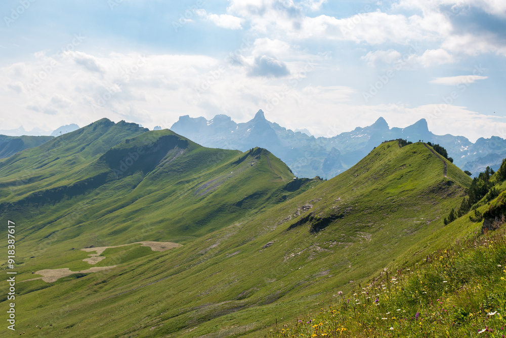 Fototapeta premium The Stoos hike in summer offers breathtaking views of the Swiss Alps, lush green meadows, and serene lakes. The trail is accessible yet challenging, with panoramic vistas that make every step rewardin