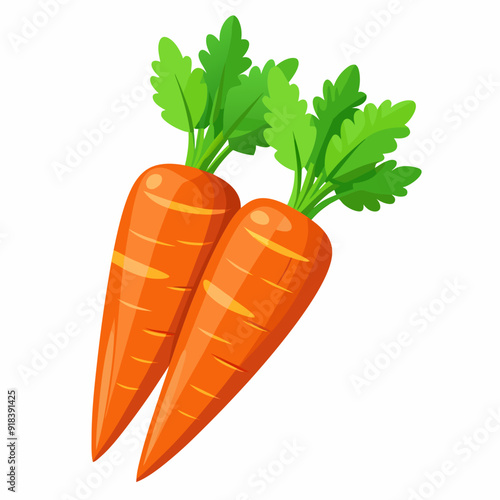 clip art realistic carrots vector illustration