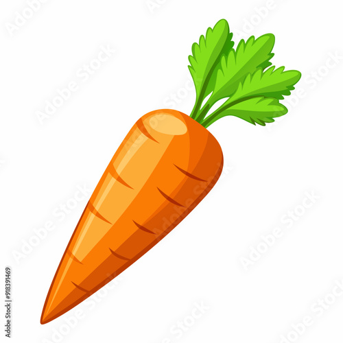 clip art realistic carrots vector illustration