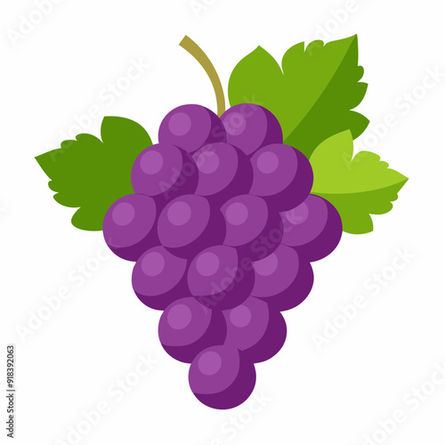 Grape Vector  illustration on white background