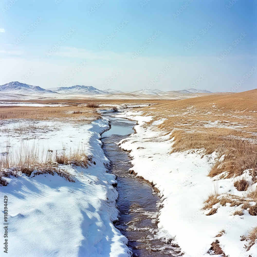 A small stream running through a snow covered field A small stream running through a snow covered field