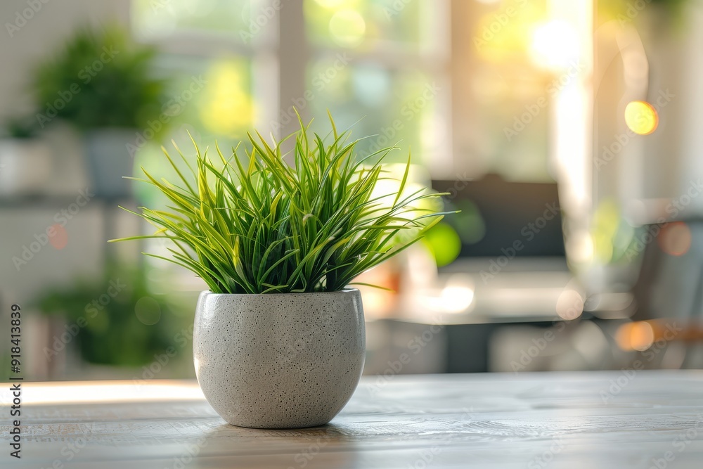 Close-up of a green houseplant on an office desk with a modern interior blurred in soft daylight, highlighting the plant's leaves against a workspace with computers and chairs. Close-up of a green houseplant on an office desk with a modern interior blurred in soft daylight, highlighting the plant's leaves against a workspace with computers and chairs.