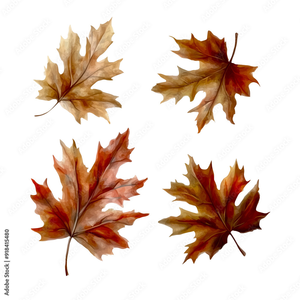 Fototapeta premium autumn leaves isolated on white